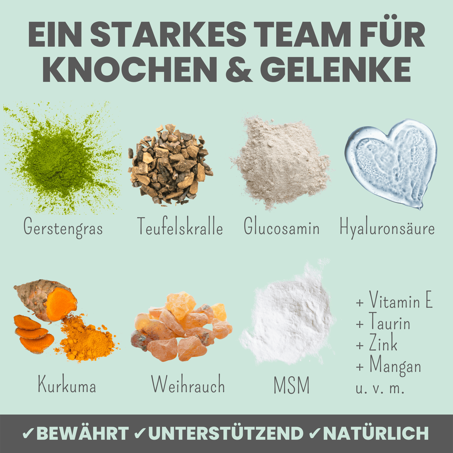 Gelenkmix Sensitiv & vegan für Hunde und Katzen mit Teufelskralle, Kurkuma & Glucosamin (150g)