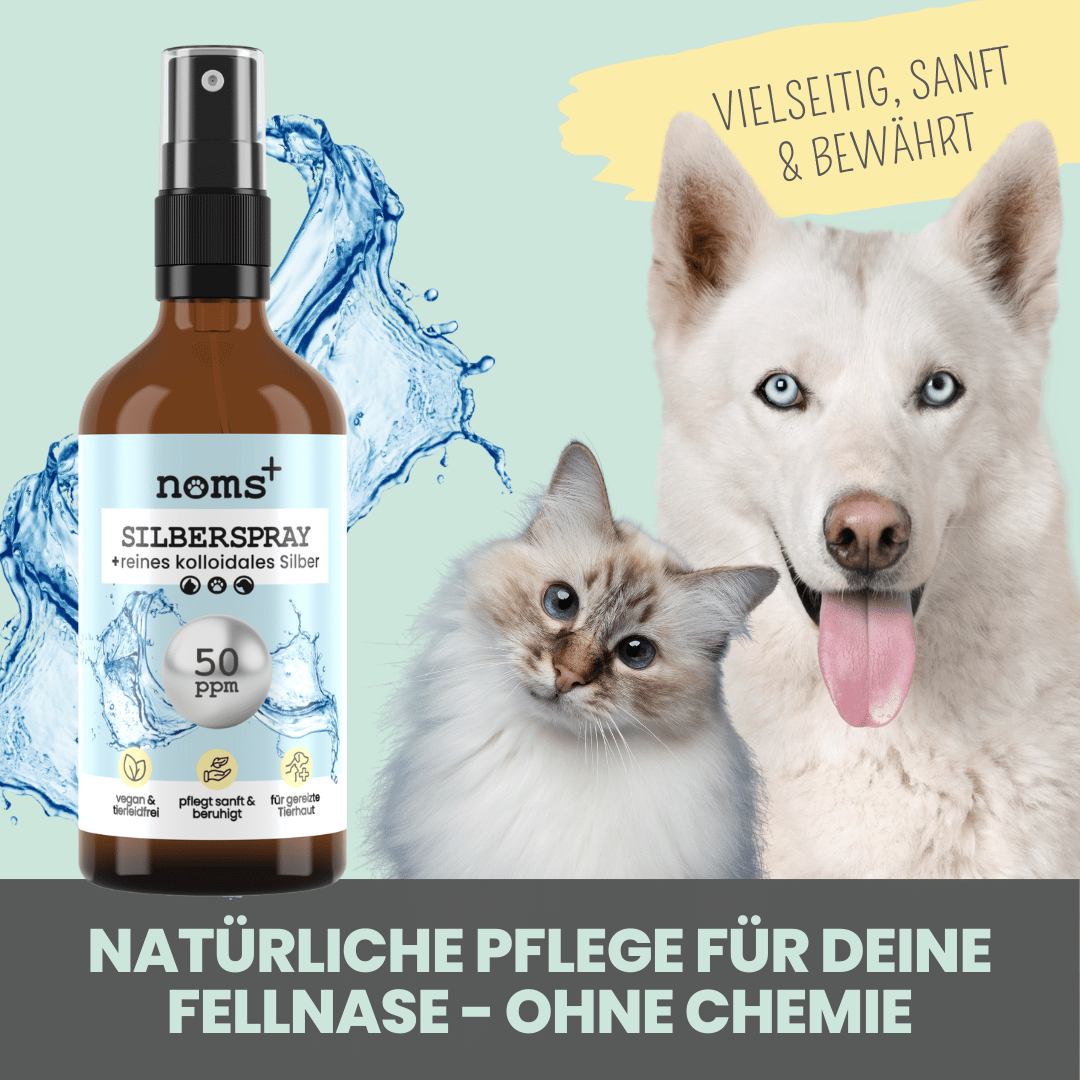 Silberspray für Hunde und Katzen mit 50ppm (MHD 12/25)