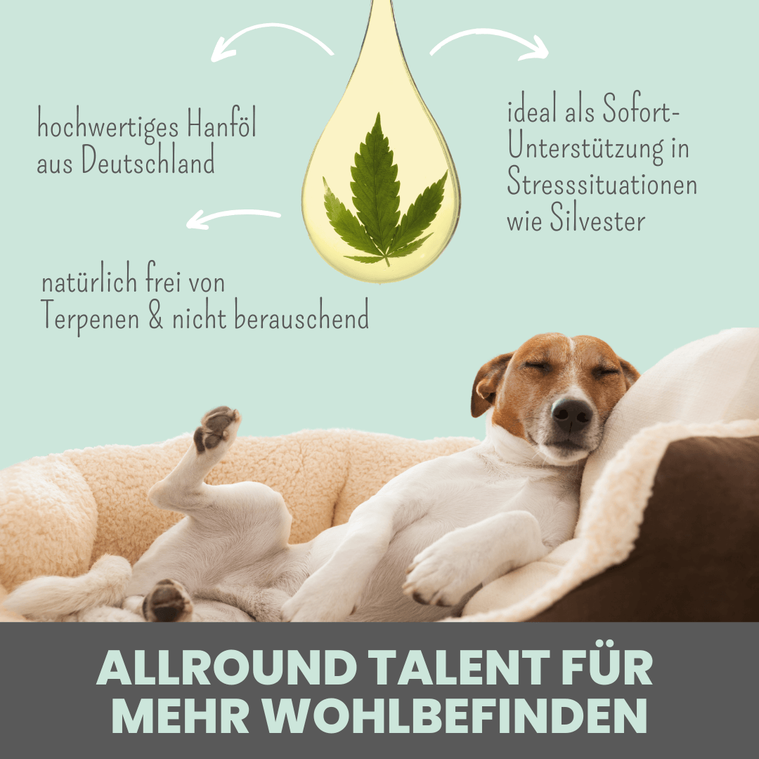 15% CBD Tropfen für Hunde und Pferde (10ml)