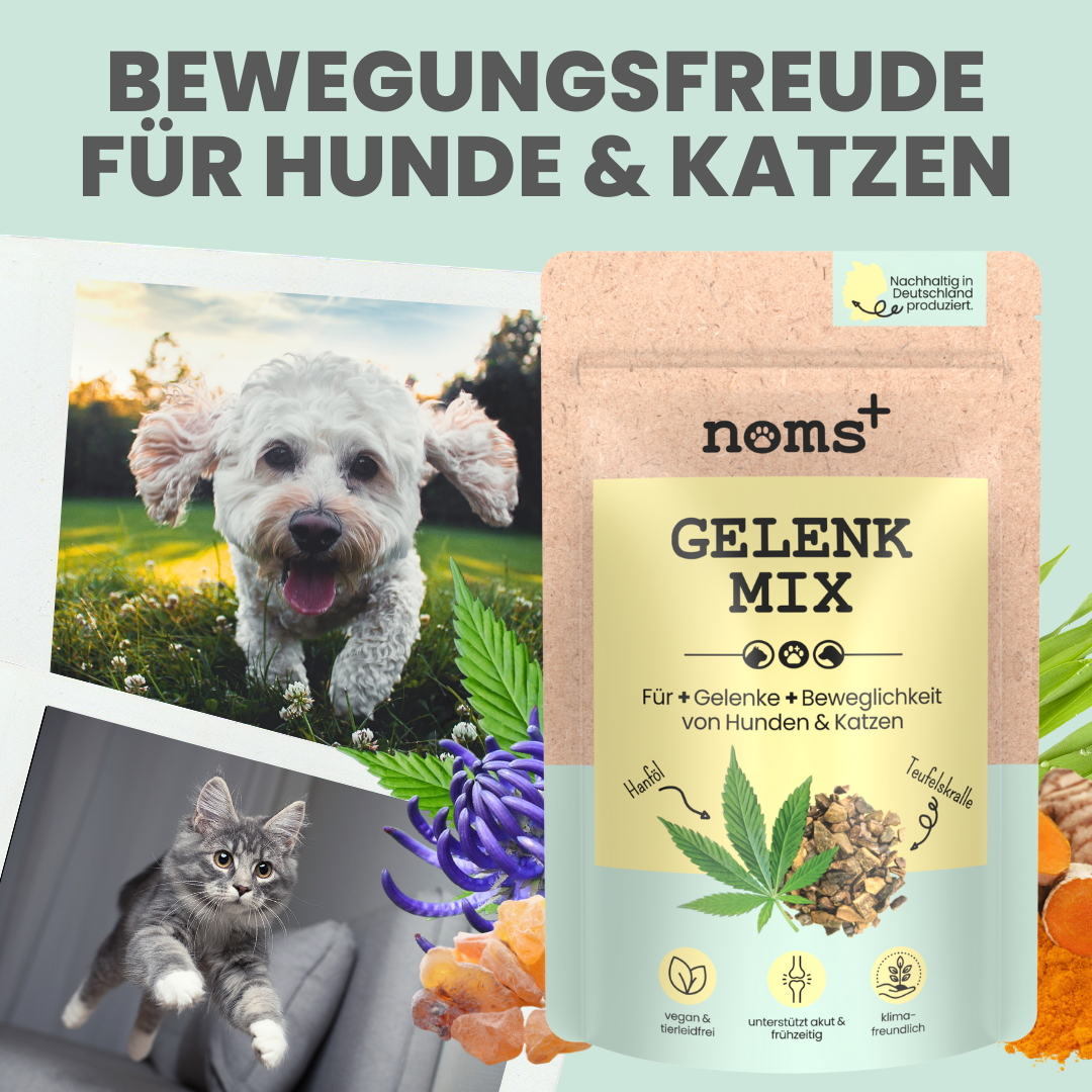 Gelenkmix Sensitiv & vegan für Hunde und Katzen mit Teufelskralle, Kurkuma & Glucosamin (150g)