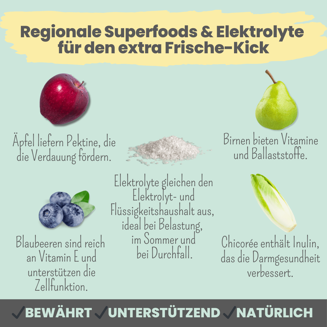 Hunde Smoothie-Bowl: Der fruchtig frische Elektrolyt-Booster (200g)