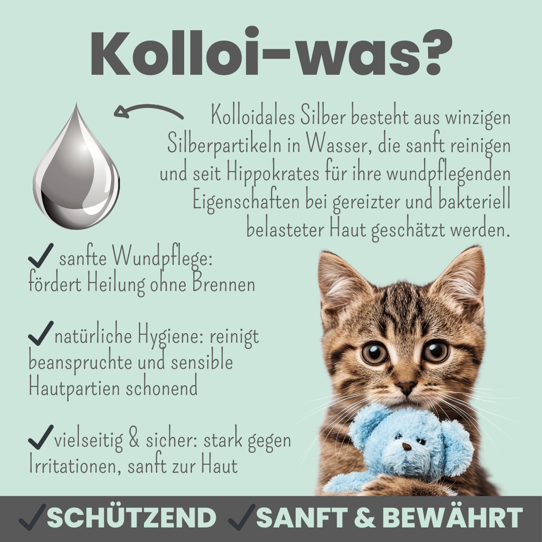 Silberspray für Hunde und Katzen mit 50ppm (MHD 12/25)