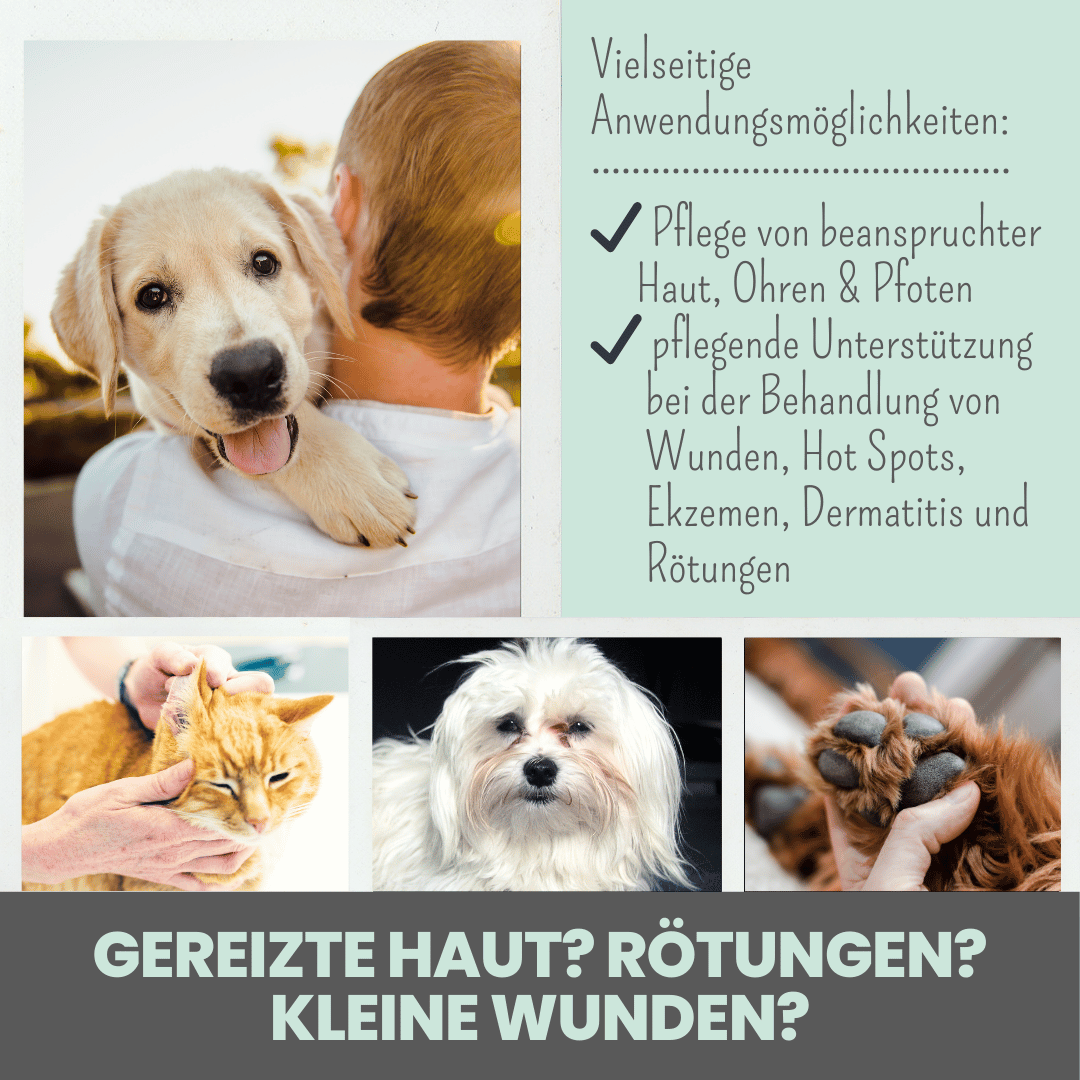 Silberspray für Hunde und Katzen mit 50ppm (MHD 12/25)