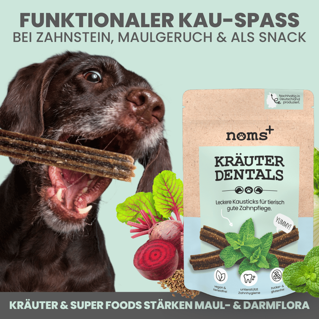 Kräuter Dentals für Hunde zur Zahn- und Darmpflege (150g)