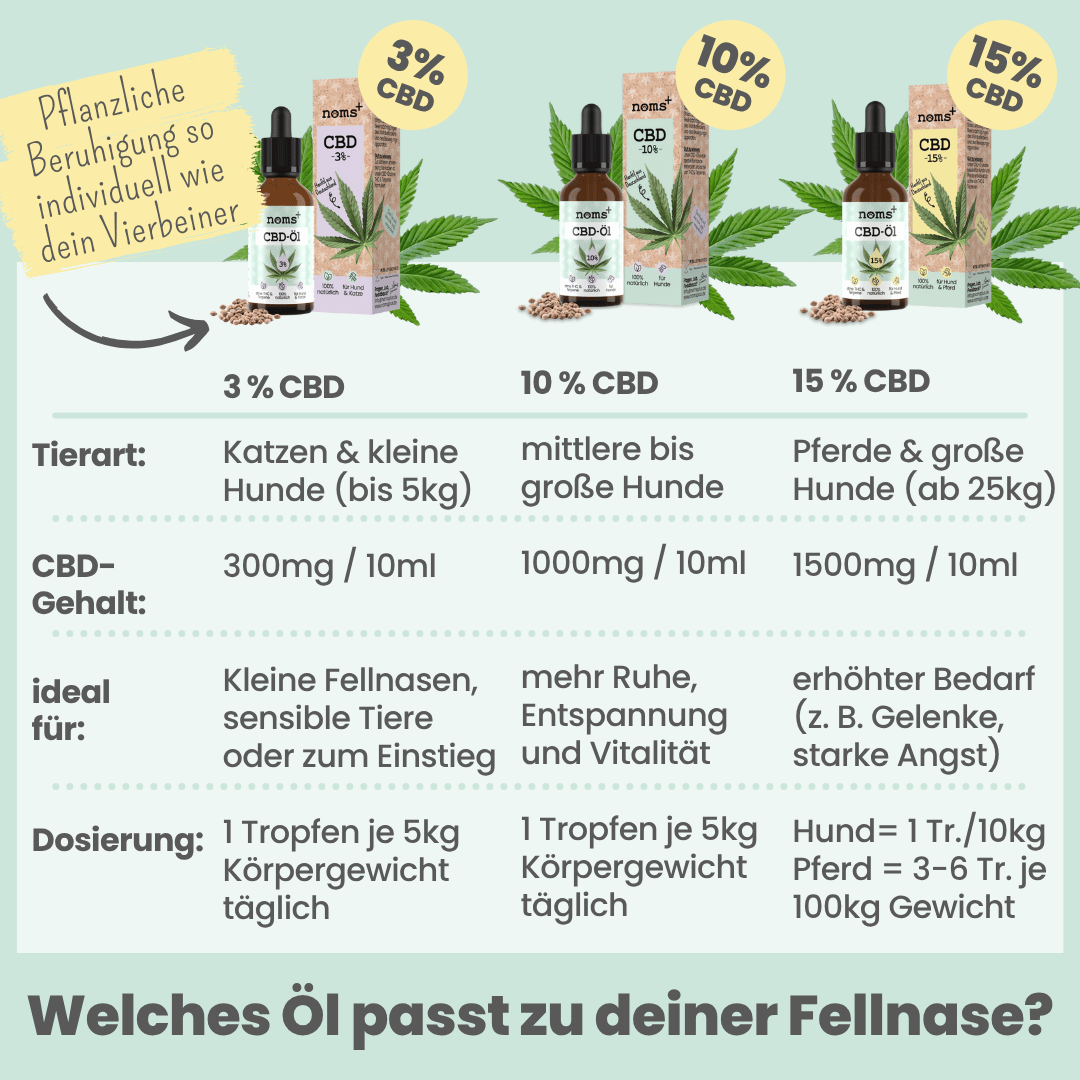 Silvester CBD Set