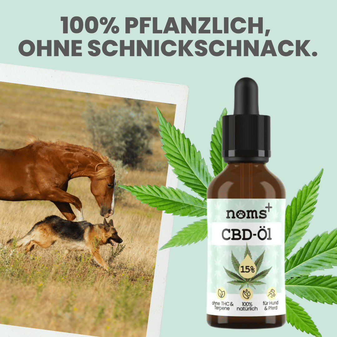 15% CBD Tropfen für Hunde und Pferde (10ml)