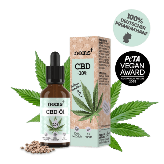 10% CBD Tropfen für Hunde (10ml)