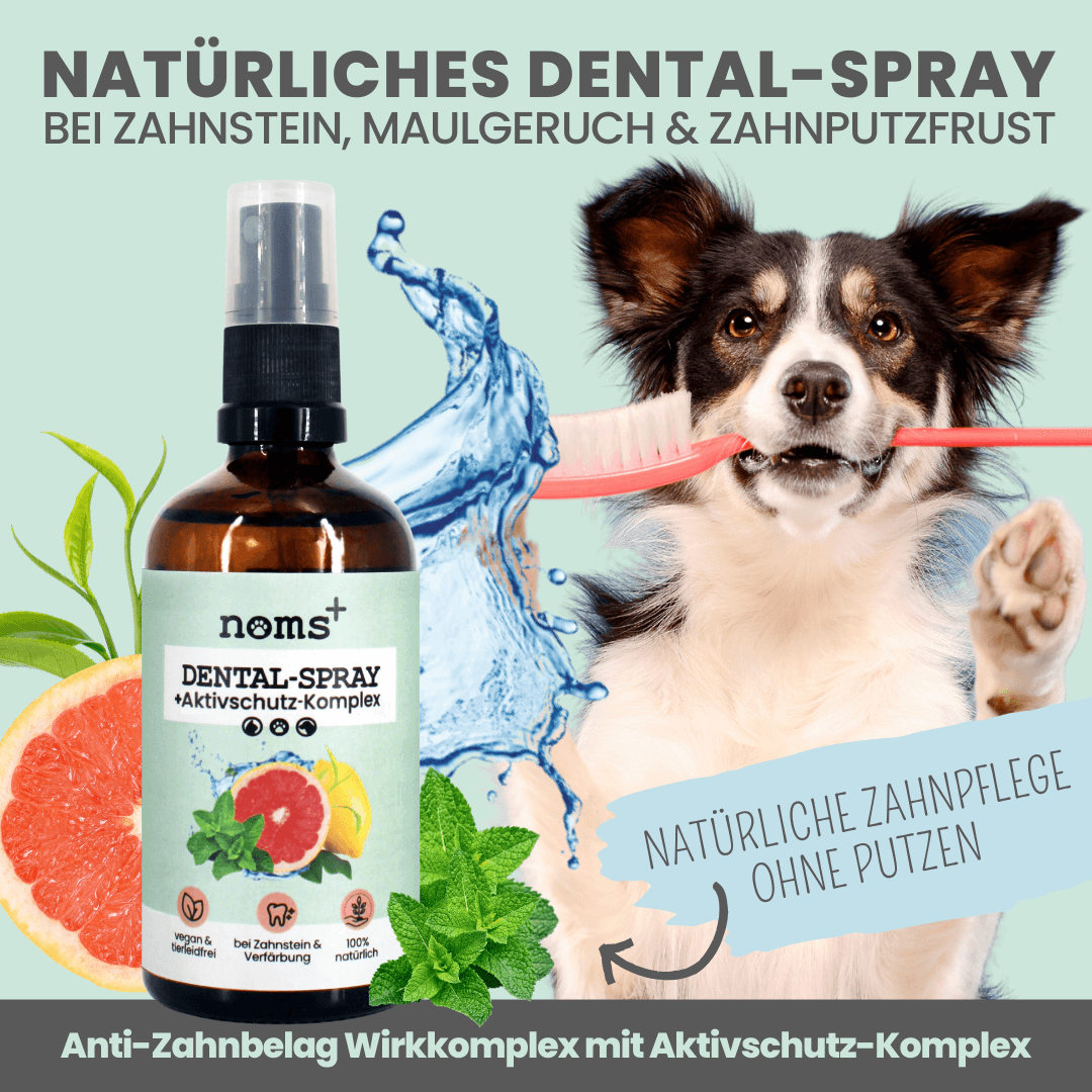Dentalspray bei Zahnstein für Hunde und Katzen (50ml)