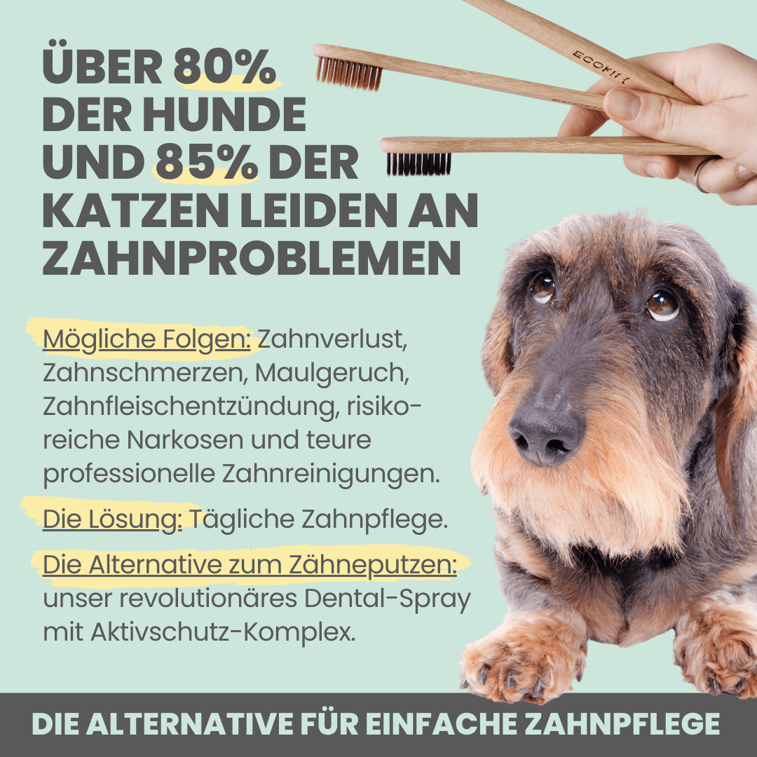 Dentalspray bei Zahnstein für Hunde und Katzen (50ml)