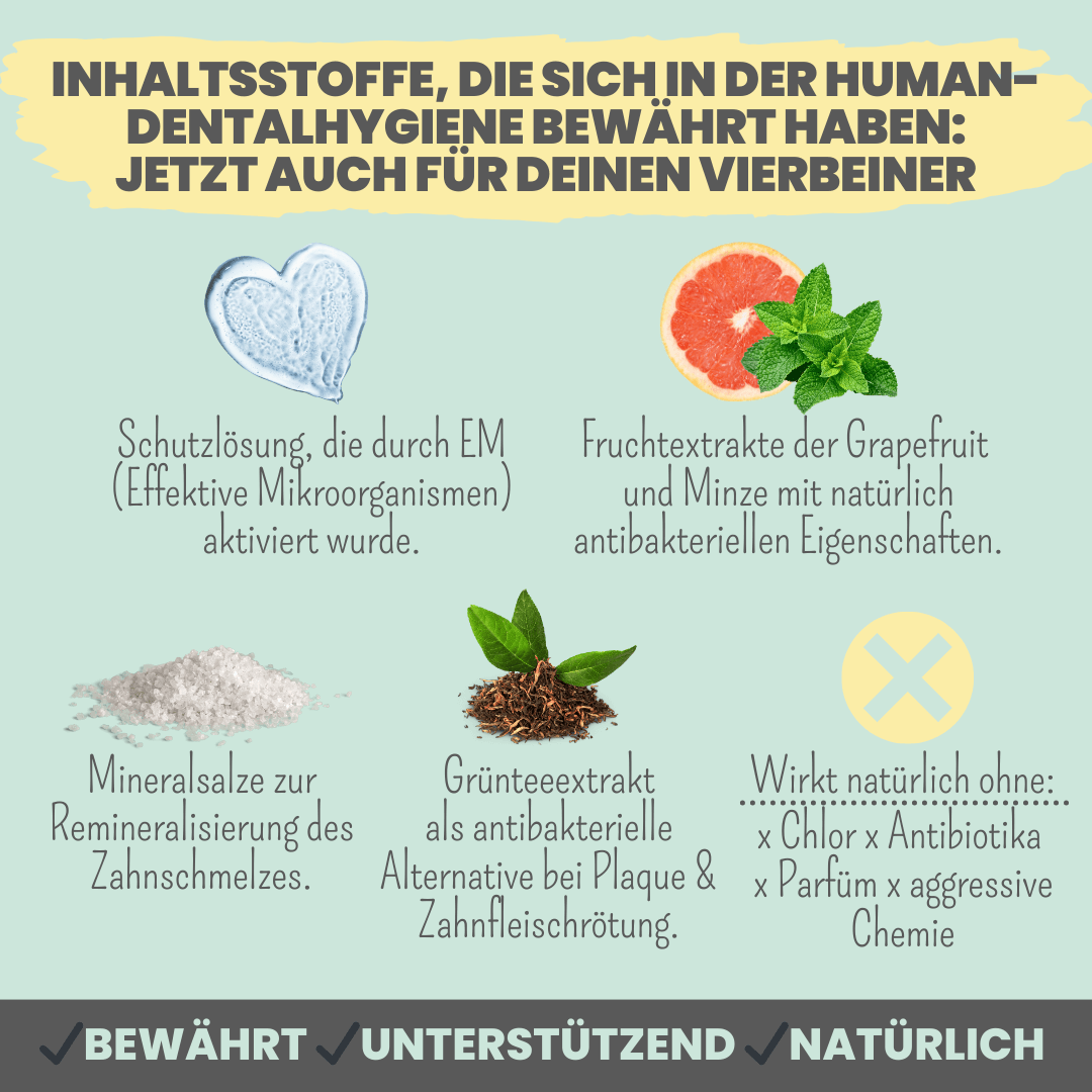 Dentalspray bei Zahnstein für Hunde und Katzen (50ml)
