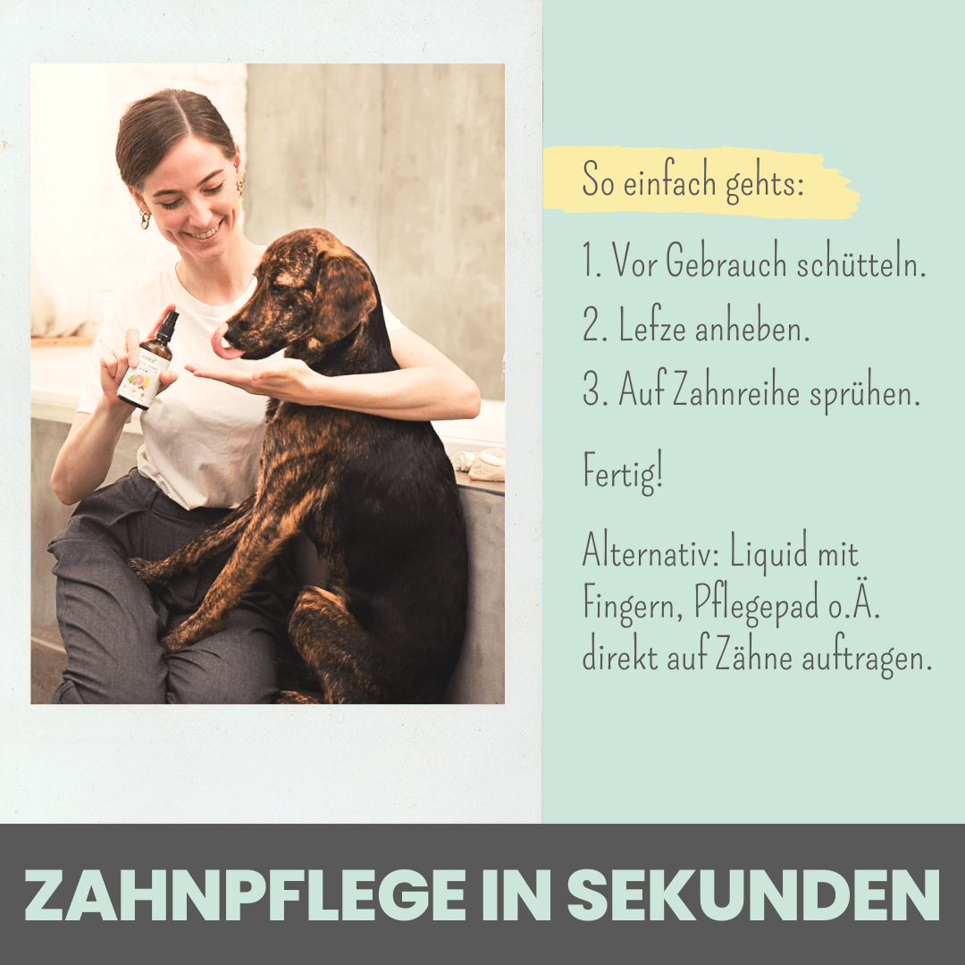Dentalspray bei Zahnstein für Hunde und Katzen (50ml)