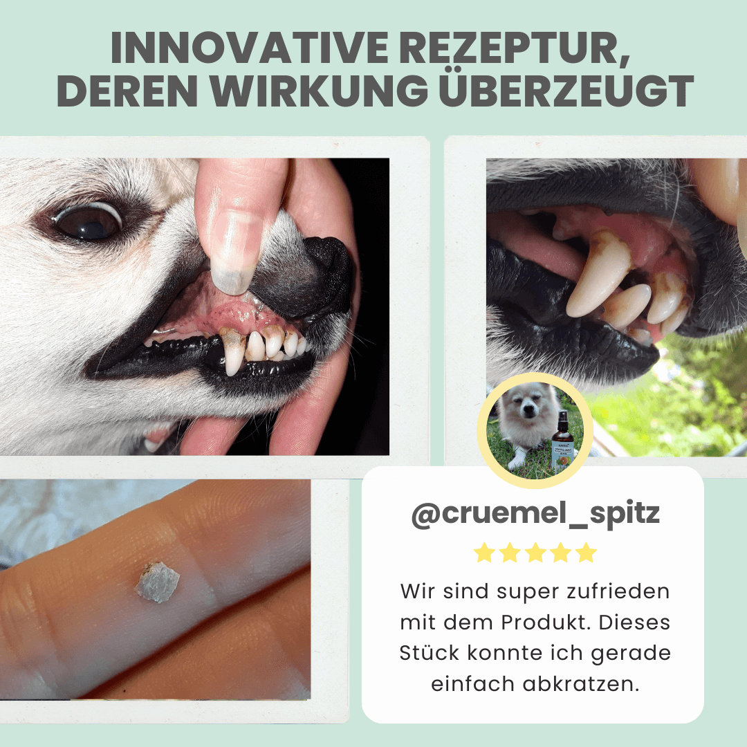 Dentalspray bei Zahnstein für Hunde und Katzen (50ml)