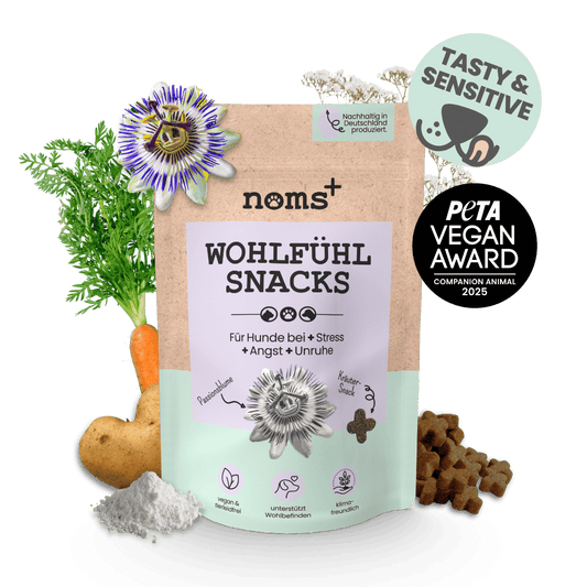 Wohlfühlsnacks für Hunde bei Stress, Angst, Unruhe & Hyperaktivität (125g)