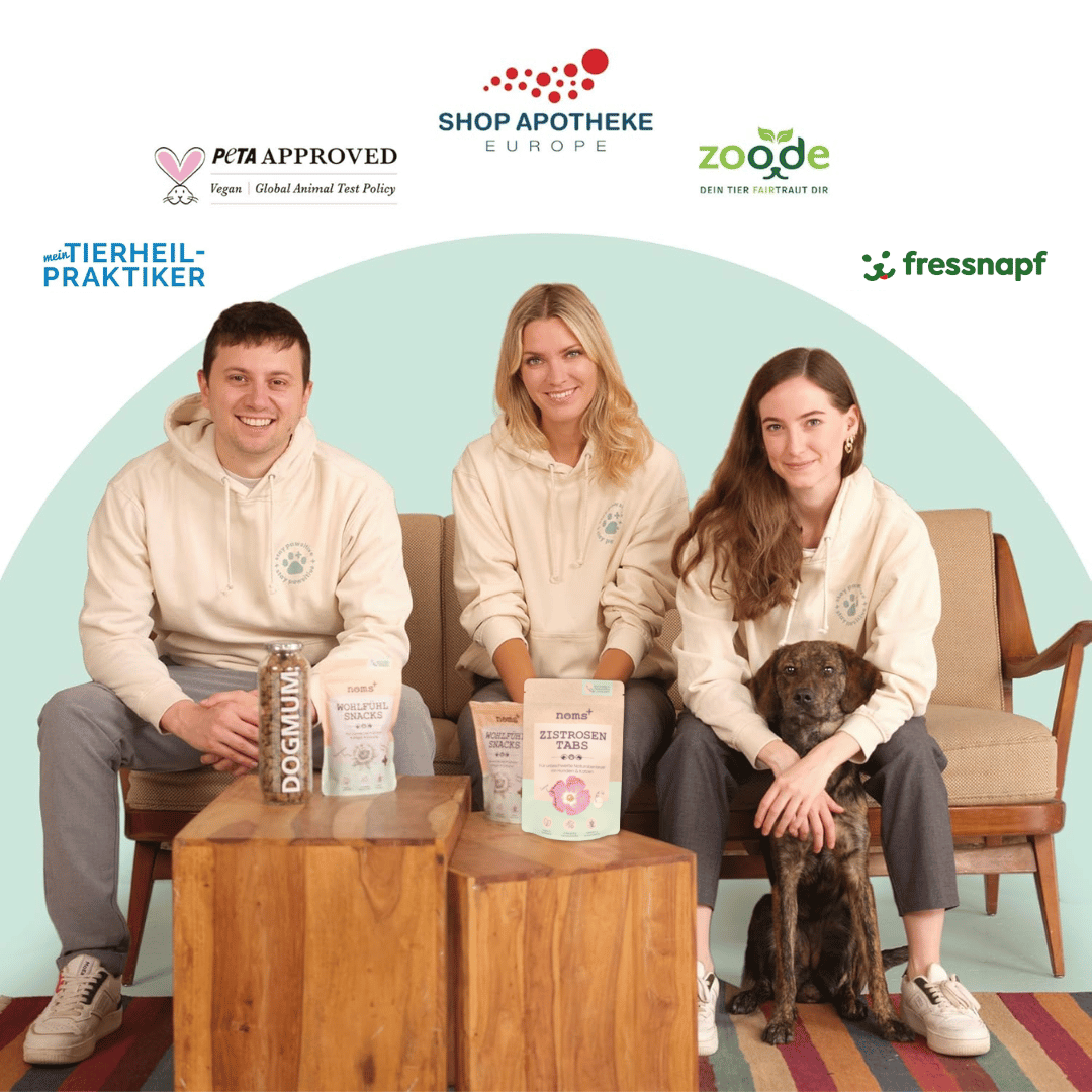 Präbio Belly Akut: pflanzenbasierte Darmkur für Hunde nach Moro-Art (200g)