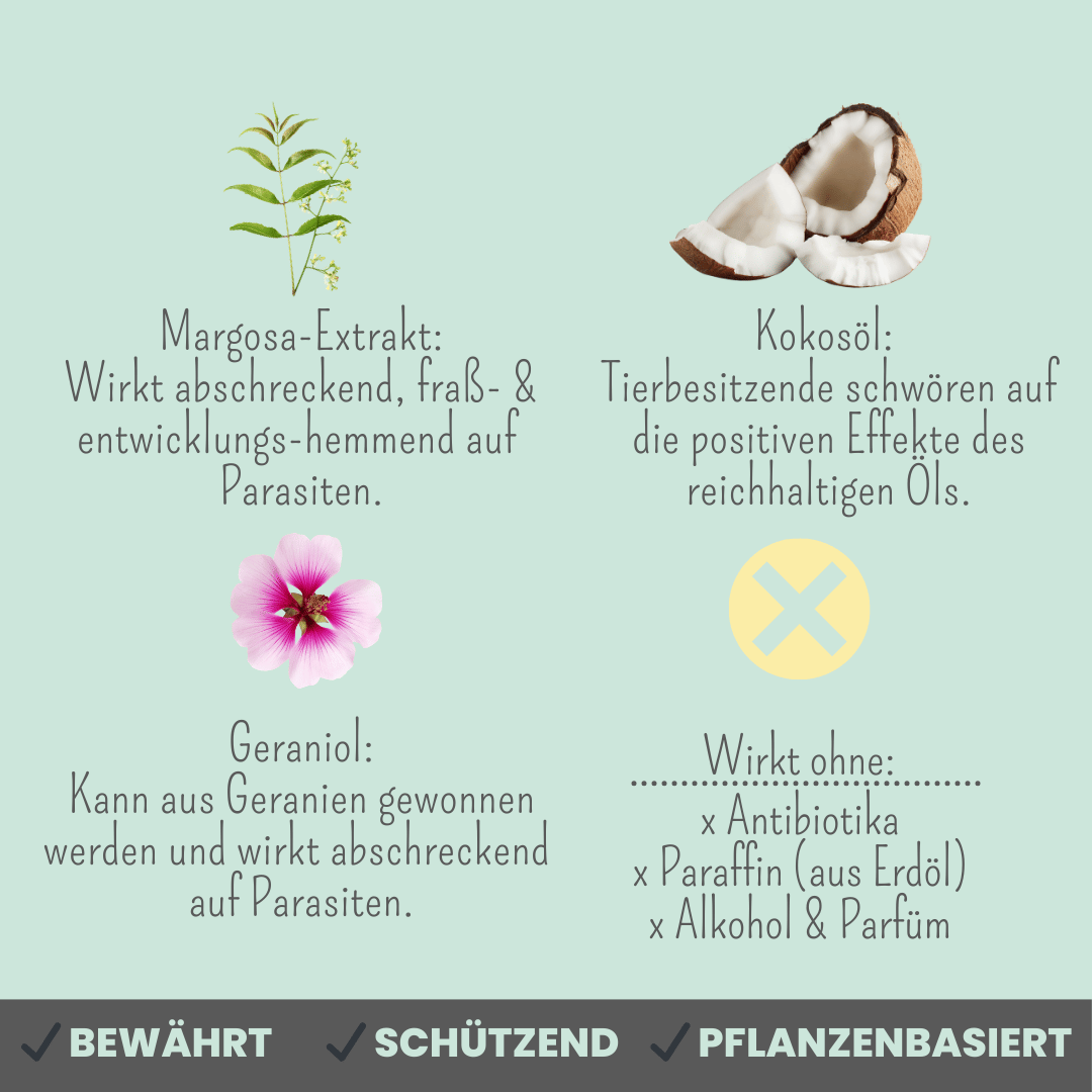 Zpot-on für Katzen gegen Zecken, Flöhe, Milben & Mücken [Jahresvorrat]