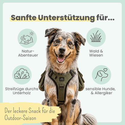 Z-Komplex für Hunde: Leckerer Soft-Snack für Wald & Wiese (200g)