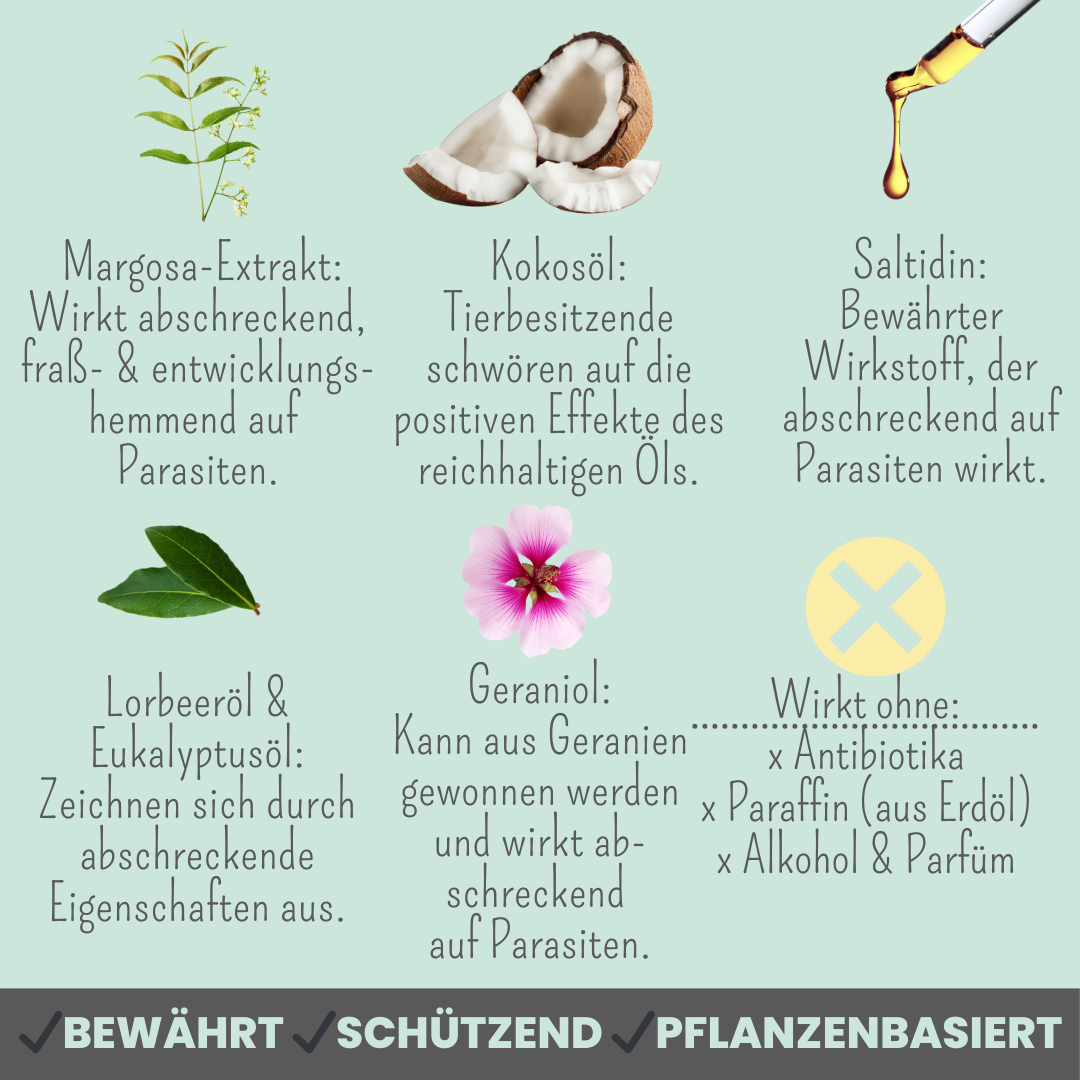 Zpray für Hunde gegen Zecken, Flöhe, Milben & Mücken [Jahresvorrat]