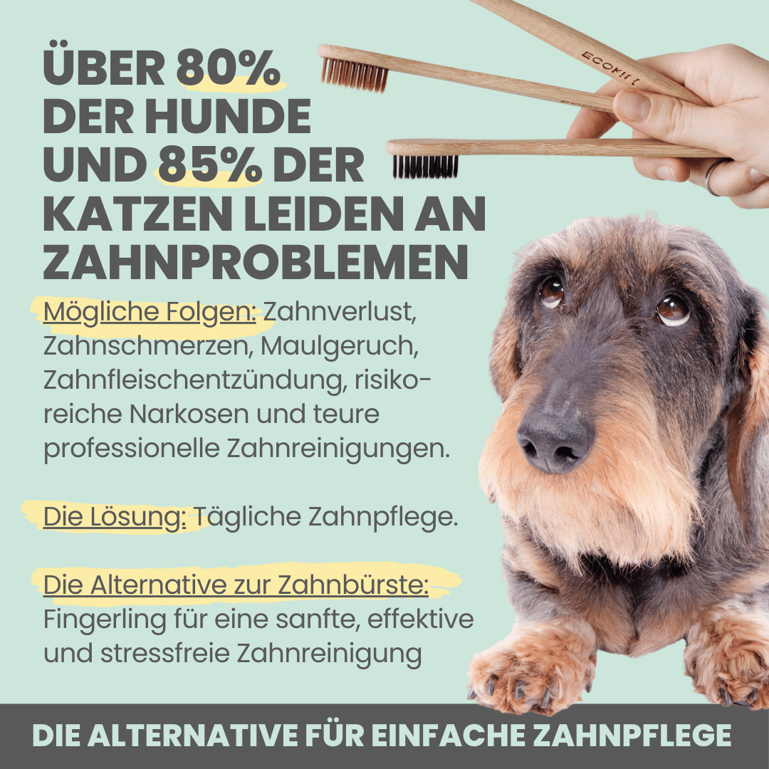 Silberling: Antibakterieller Zahnpflege-Fingerling für Hunde mit Silberionen