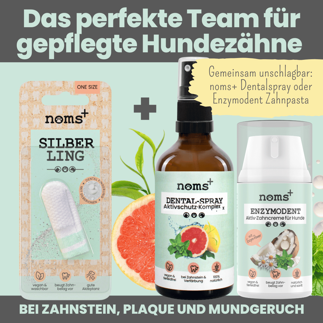 Silberling: Antibakterieller Zahnpflege-Fingerling für Hunde mit Silberionen