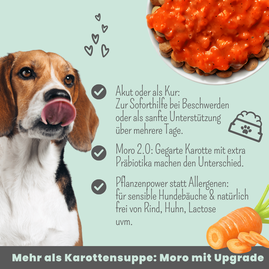 Präbio Belly Akut: pflanzenbasierte Darmkur für Hunde nach Moro-Art