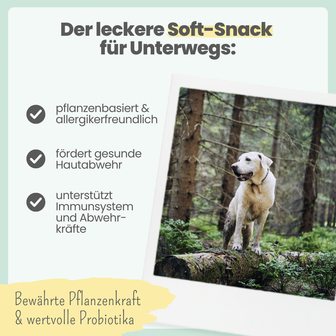 Z-Komplex für Hunde: Leckerer Soft-Snack für Wald & Wiese (200g)