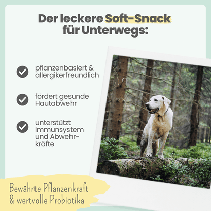Z-Komplex für Hunde: Leckerer Soft-Snack für Wald & Wiese (200g)