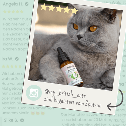 Zpot-on für Katzen gegen Zecken, Flöhe, Milben & Mücken [Jahresvorrat]