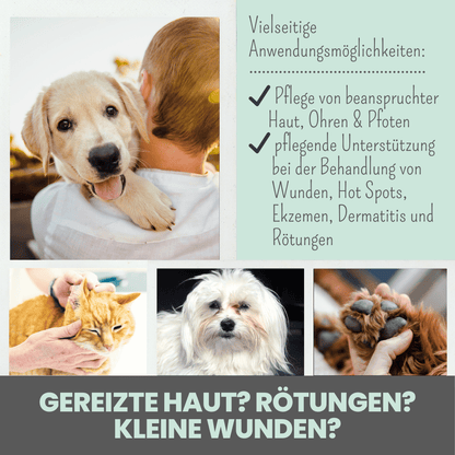 Silberspray für Hunde und Katzen mit 50ppm (MHD 12/25)