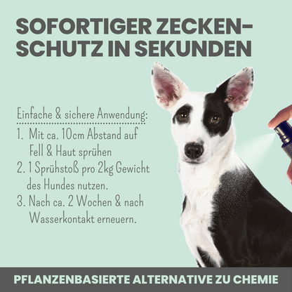 Zpray für Hunde gegen Zecken, Flöhe, Milben & Mücken [Jahresvorrat]