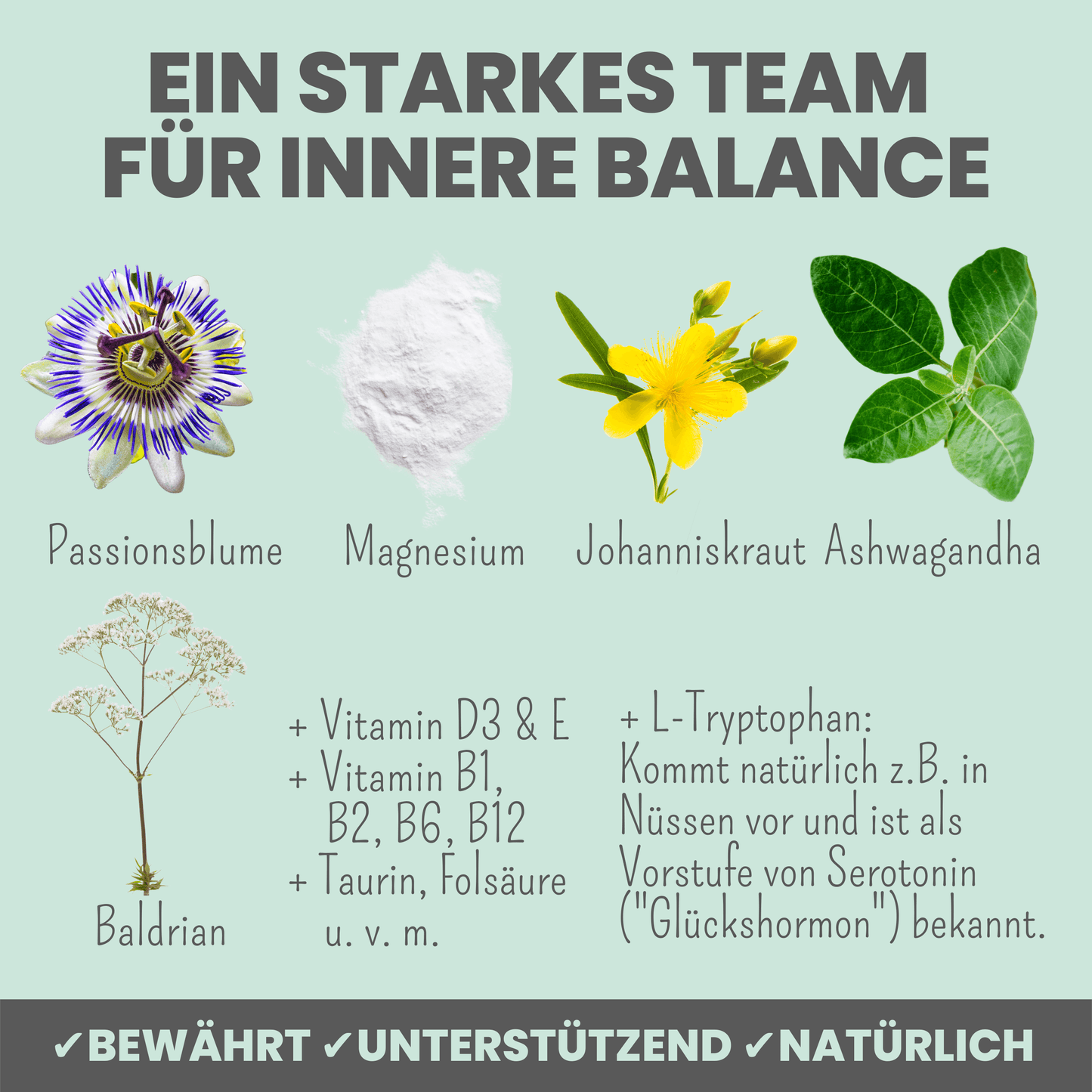Wohlfühlmix für Hunde bei Stress, Angst, Unruhe und Hyperaktivität