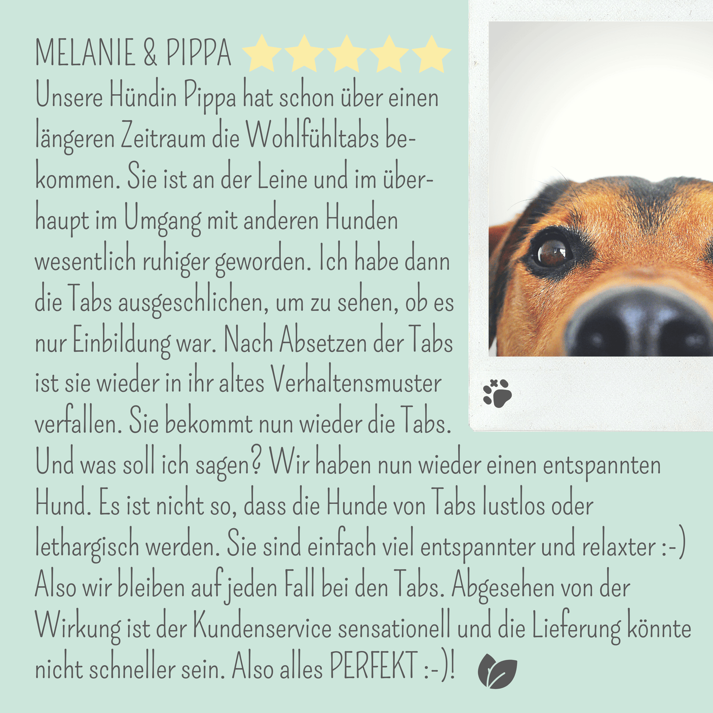 Wohlfühlmix für Hunde bei Stress, Angst, Unruhe und Hyperaktivität