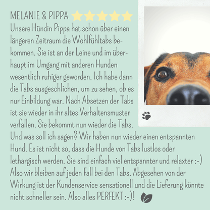 Wohlfühlmix für Hunde bei Stress, Angst, Unruhe und Hyperaktivität