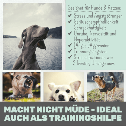 Wohlfühlmix für Hunde bei Stress, Angst, Unruhe und Hyperaktivität