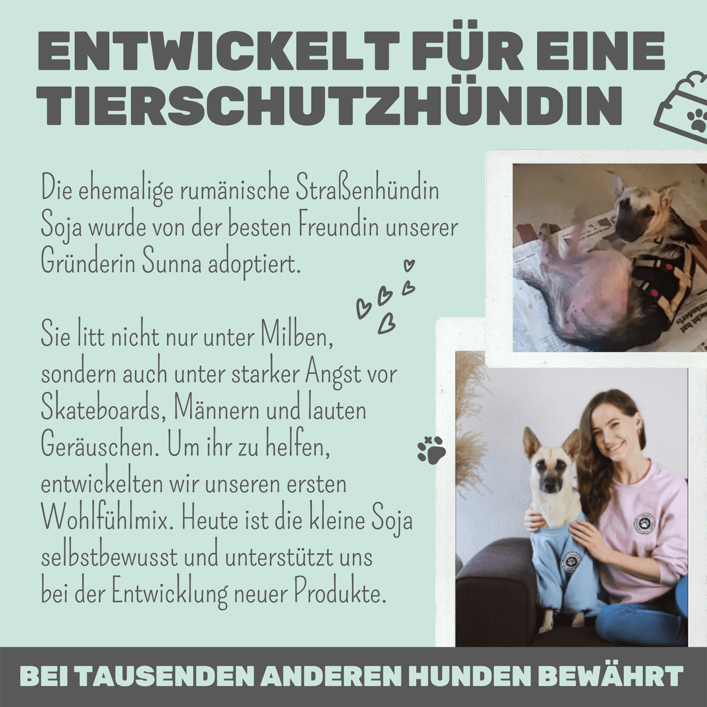 Wohlfühlmix für Hunde bei Stress, Angst, Unruhe und Hyperaktivität