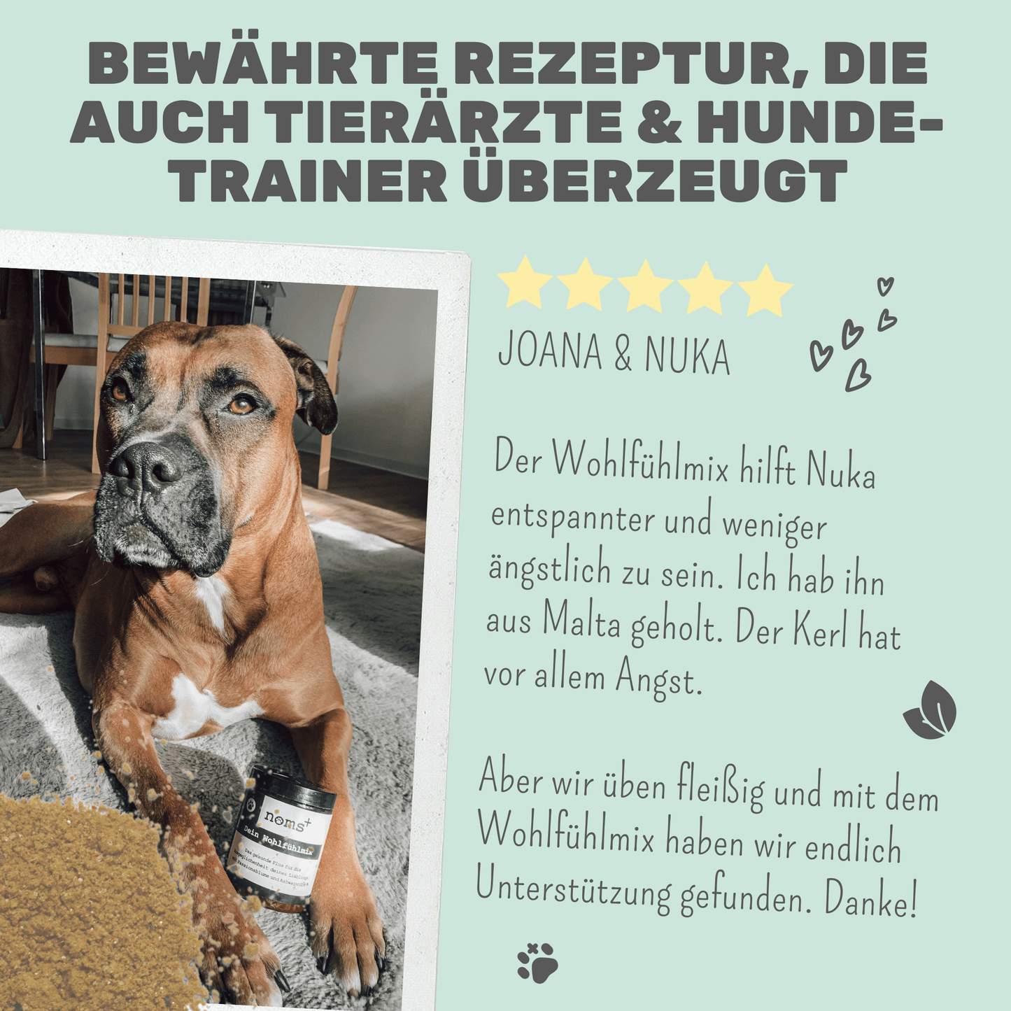 Wohlfühlmix für Hunde bei Stress, Angst, Unruhe und Hyperaktivität