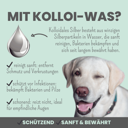 2-in-1 Augenfein Reinigung & Pflege für Hunde & Katzen mit kolloidalem Silber