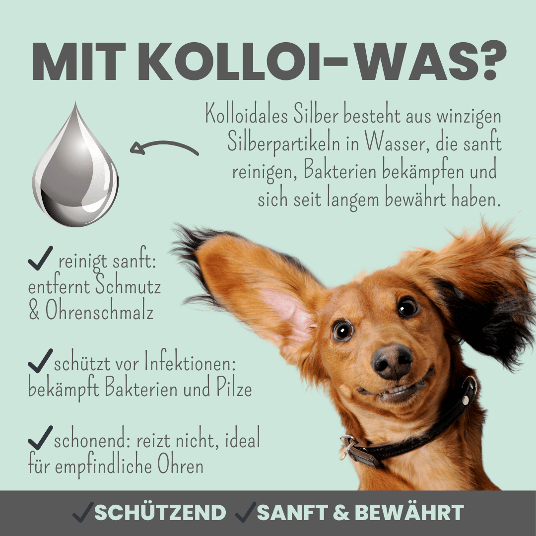 2-in-1 Ohrfein Reinigung & Pflege für Hunde & Katzen mit kolloidalem Silber