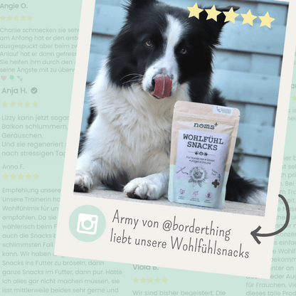 Wohlfühlsnacks für Hunde bei Stress, Angst, Unruhe & Hyperaktivität