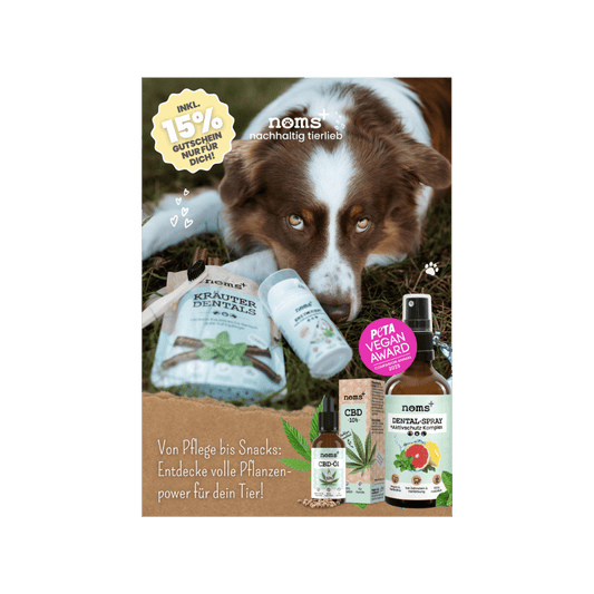 50x Pawtner Flyer (6-seitig) für deinen Rabattcode