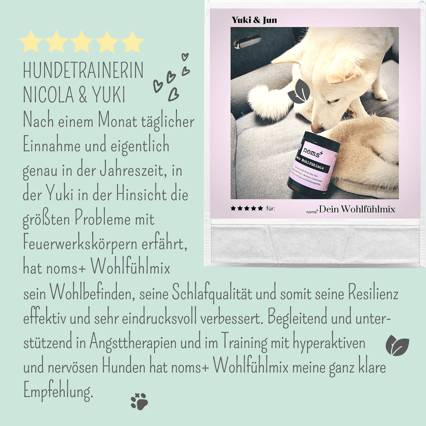 Wohlfühlmix für Hunde bei Stress, Angst, Unruhe und Hyperaktivität