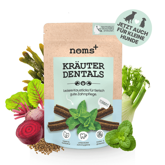 Kräuter Dentals für Hunde zur Zahn- und Darmpflege (150g)
