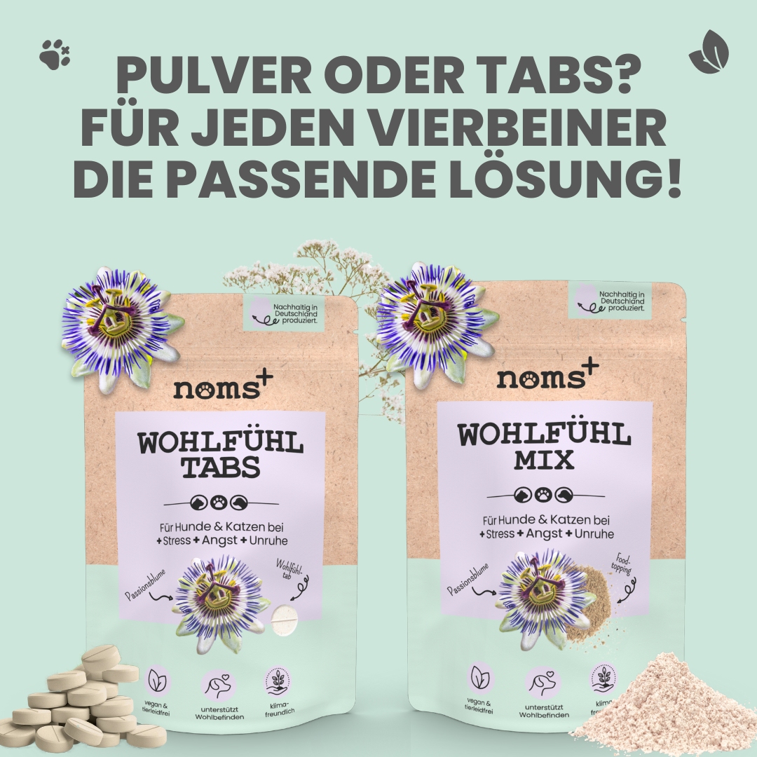 Wohlfühltabs für Hunde bei Stress, Angst, Unruhe und Hyperaktivität