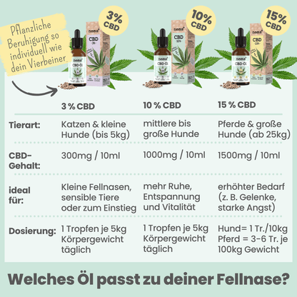 15% CBD Tropfen für Hunde und Pferde (10ml)
