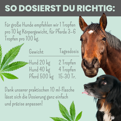 15% CBD Tropfen für Hunde und Pferde (10ml)