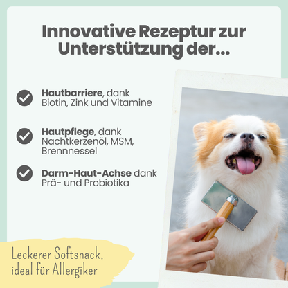 Haut & Fell Komplex für Hunde (200g)