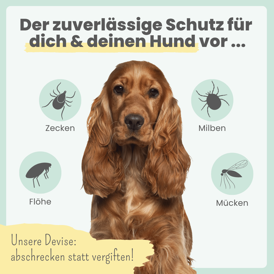 Zpray für Hunde und Menschen gegen Zecken, Flöhe, Milben & Mücken [Jahresvorrat] (100ml)