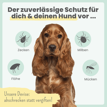 Zpray für Hunde und Menschen gegen Zecken, Flöhe, Milben & Mücken [Jahresvorrat] (100ml)