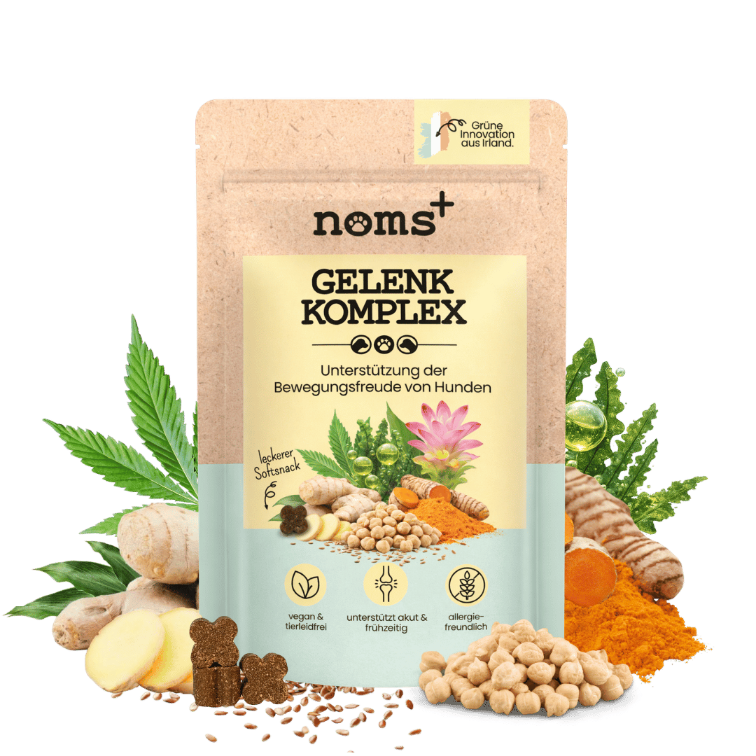 Gelenk-Komplex für Hunde (200g)
