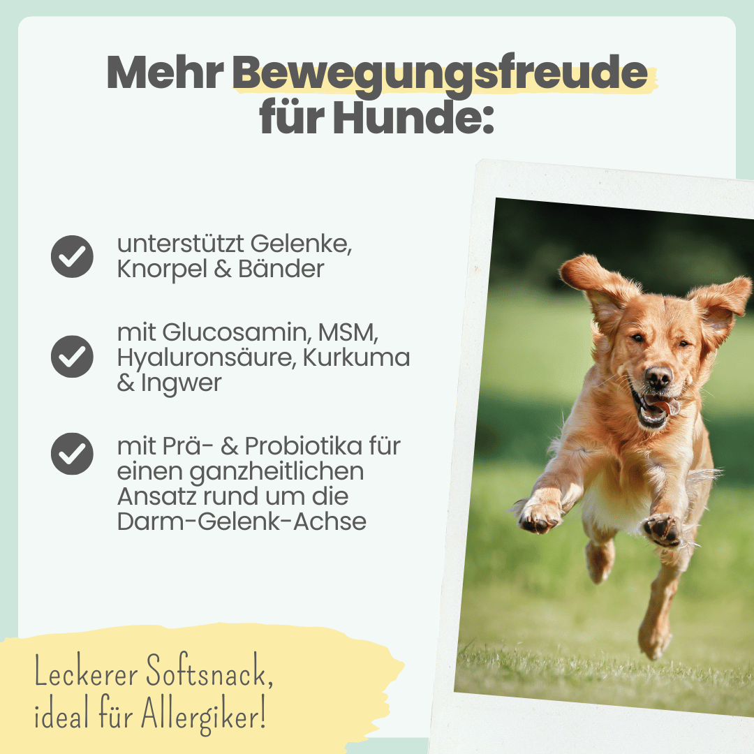 Gelenk-Komplex für Hunde (200g)