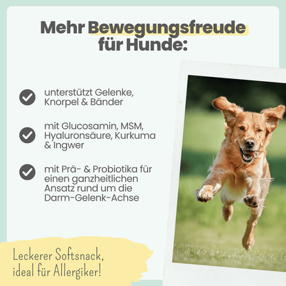 Gelenk-Komplex für Hunde (200g)